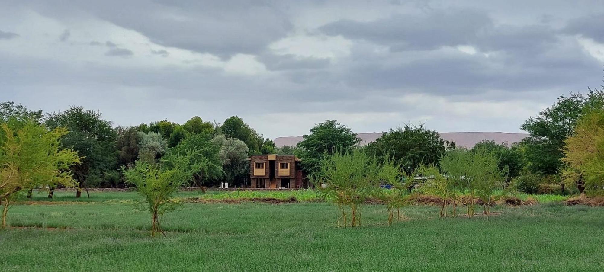 Foresta Atacama Lodge 圣佩德罗·德·阿塔卡马 外观 照片