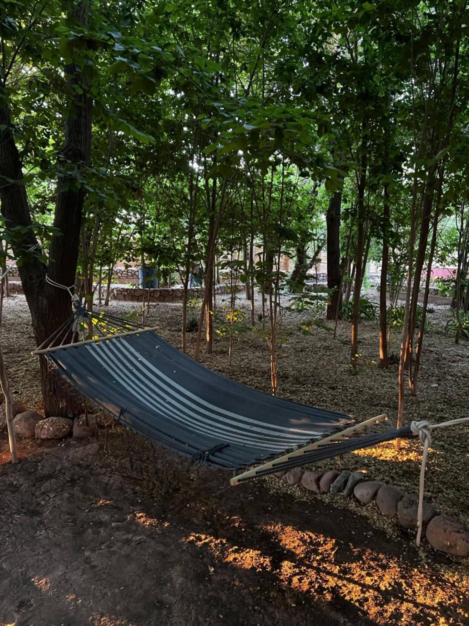 Foresta Atacama Lodge 圣佩德罗·德·阿塔卡马 外观 照片