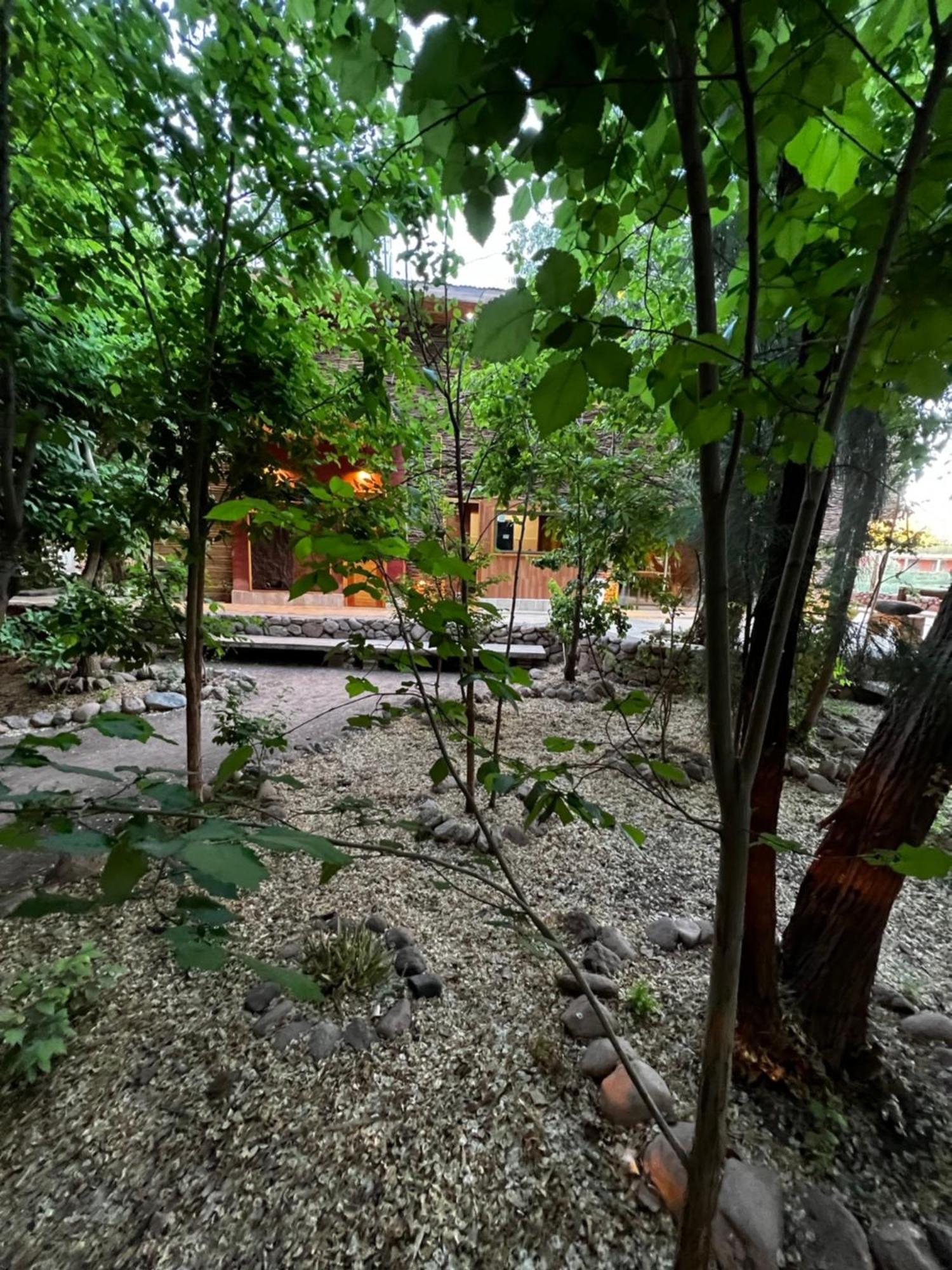 Foresta Atacama Lodge 圣佩德罗·德·阿塔卡马 外观 照片