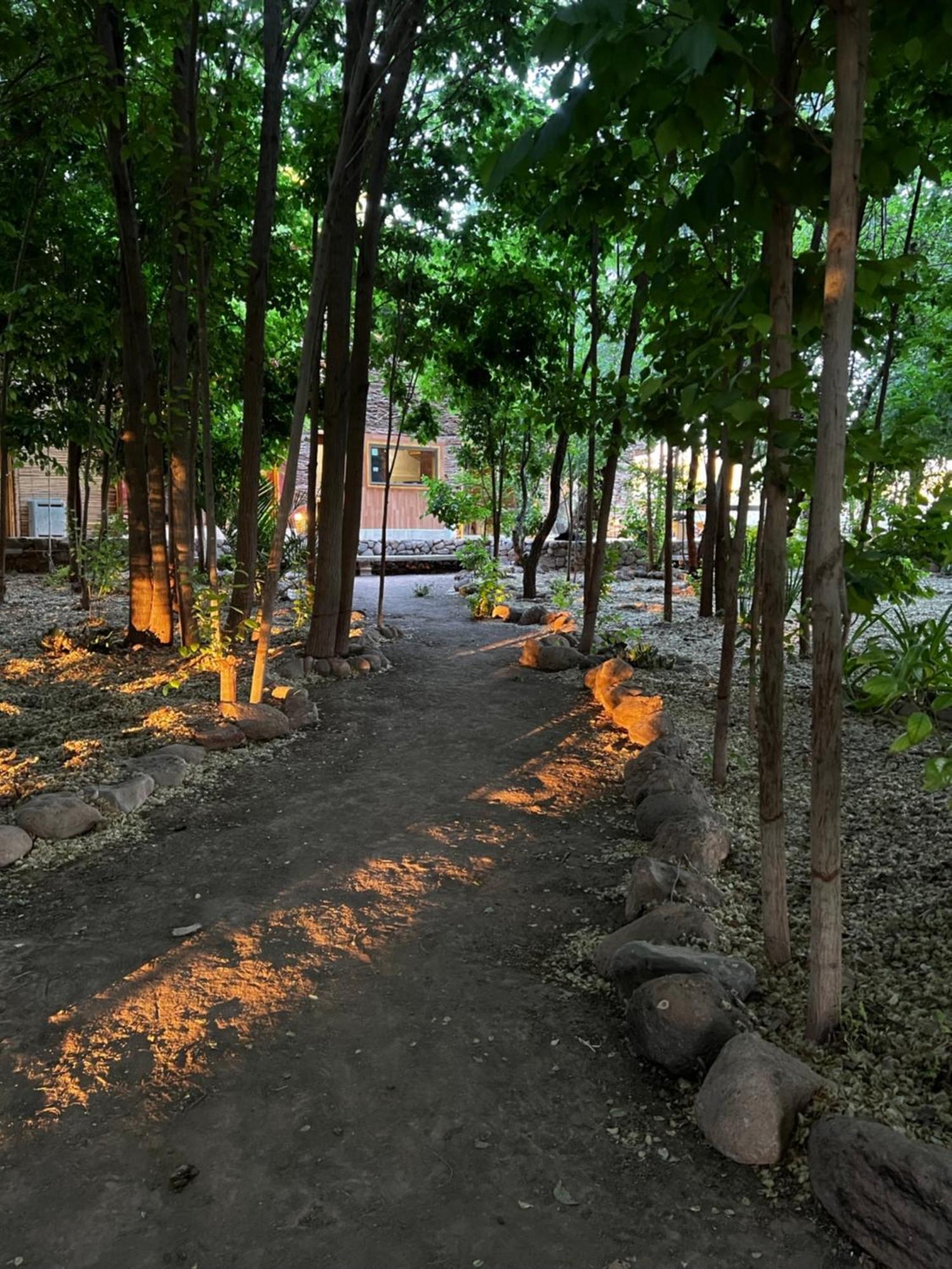 Foresta Atacama Lodge 圣佩德罗·德·阿塔卡马 外观 照片