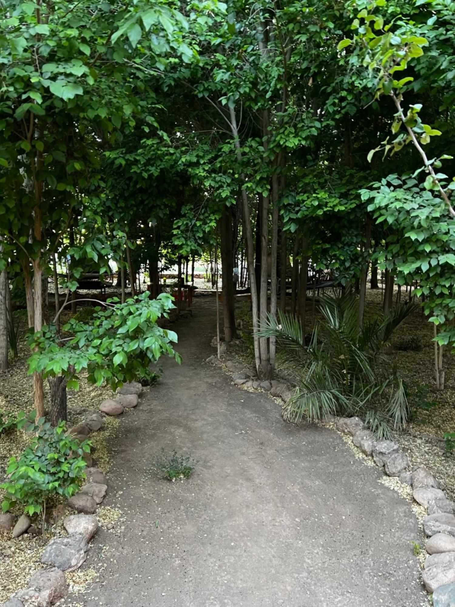 Foresta Atacama Lodge 圣佩德罗·德·阿塔卡马 外观 照片